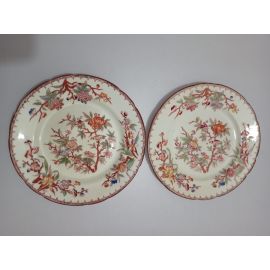 Vendu : Lot de 2 assiettes diam 18.5 cm porcelaine Sarreguemines minton 252 légère coloration